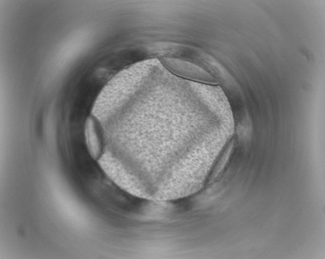 X0000115510429200911271434