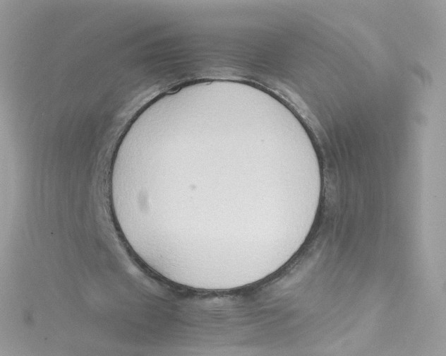 X0000115510433200911271434