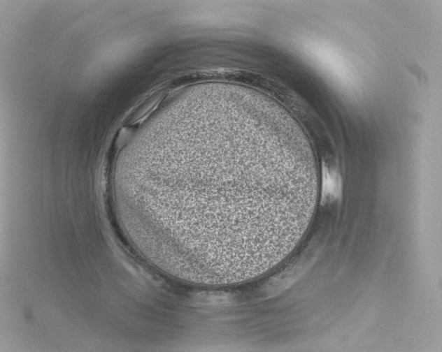 X0000115510435200911271434