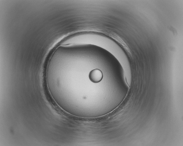 X0000115510436200911271434