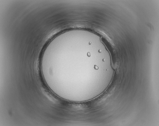 X0000115510439200911271434