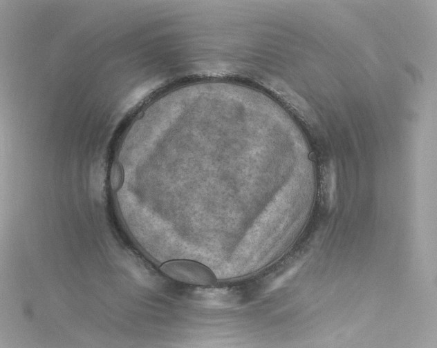 X0000115510440200911271434