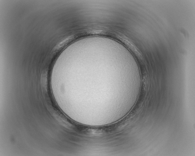 X0000115510442200911271434