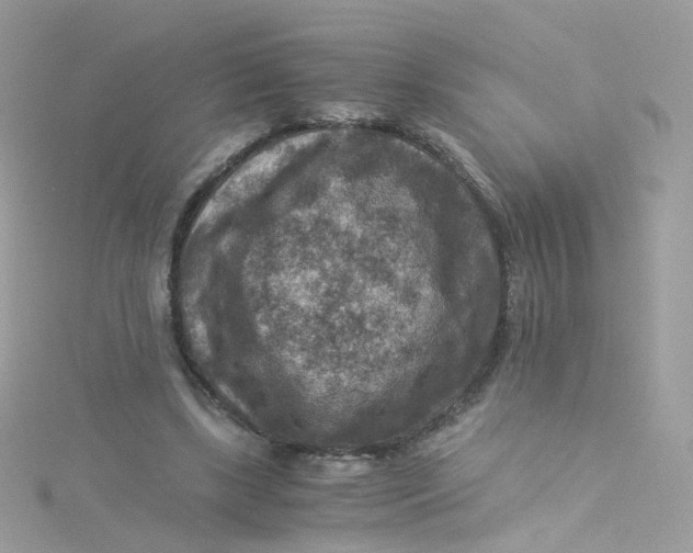 X0000115510443200911271434