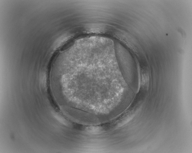 X0000115510444200911271434