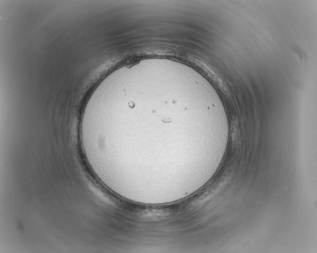 X0000115510445200911271434