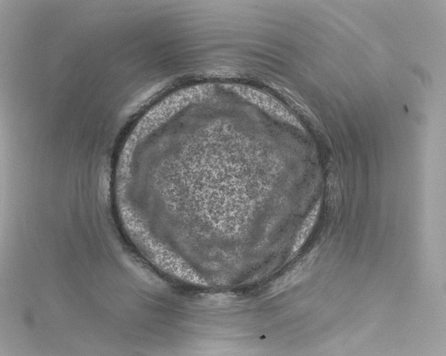 X0000115510446200911271434