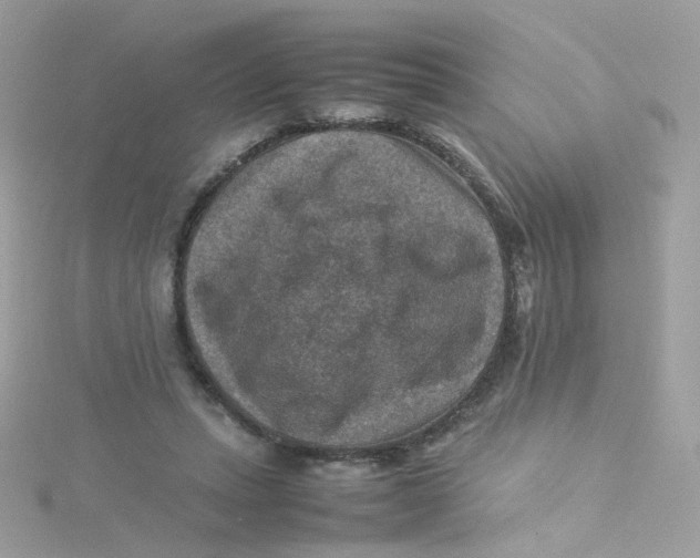 X0000115510447200911271434