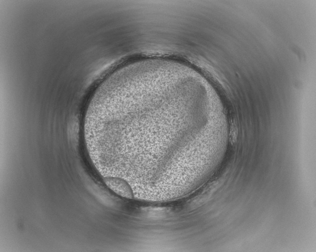 X0000115510448200911271434