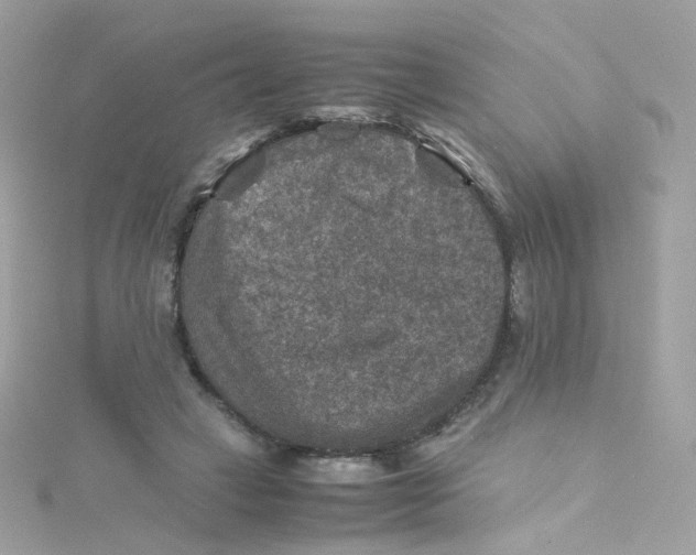 X0000115510449200911271434