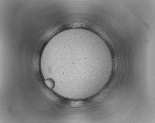 X0000115510450200911271434