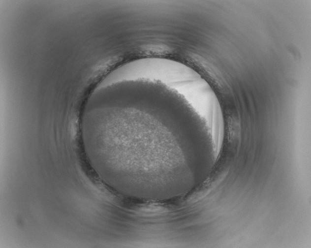 X0000115510451200911271434