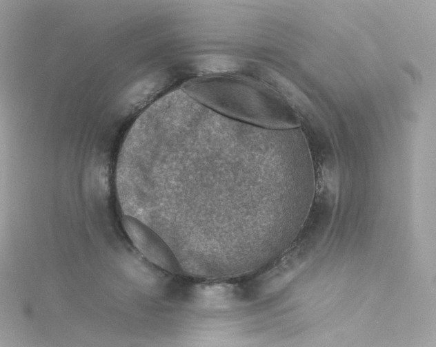 X0000115510452200911271434