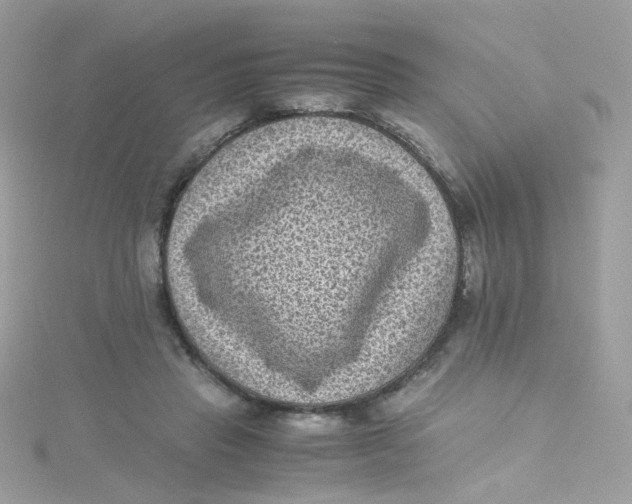 X0000115510453200911271434