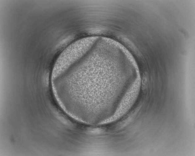 X0000115510454200911271434