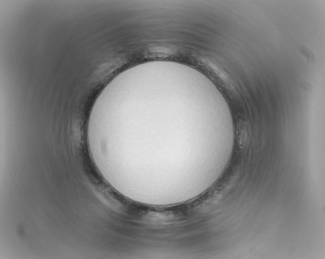 X0000115510455200911271434