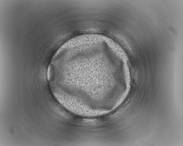 X0000115510457200911271434