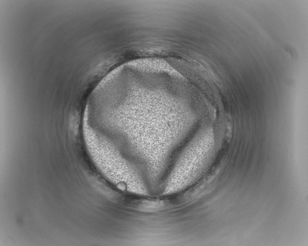 X0000115510458200911271434