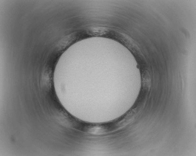 X0000115510460200911271434