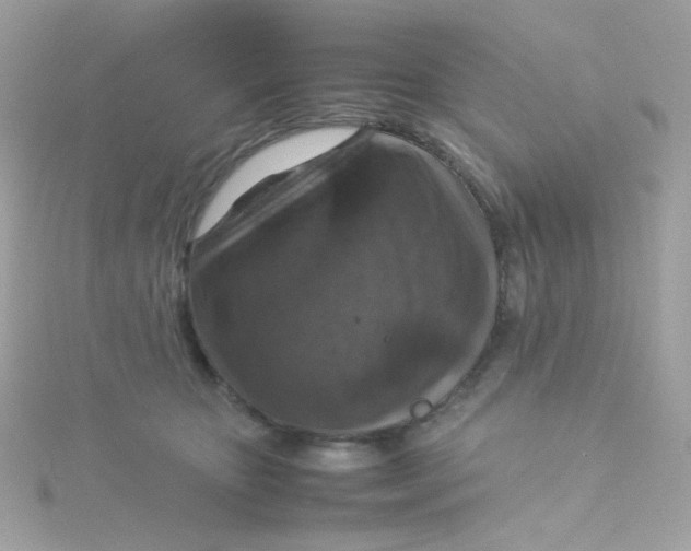 X0000115510467200911271434