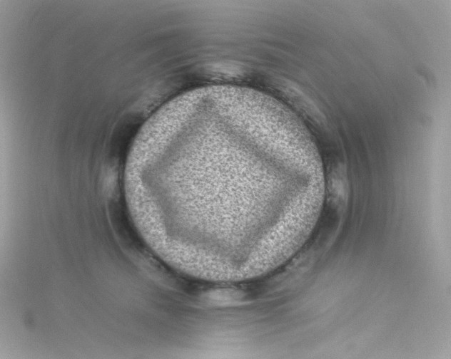 X0000115510468200911271434