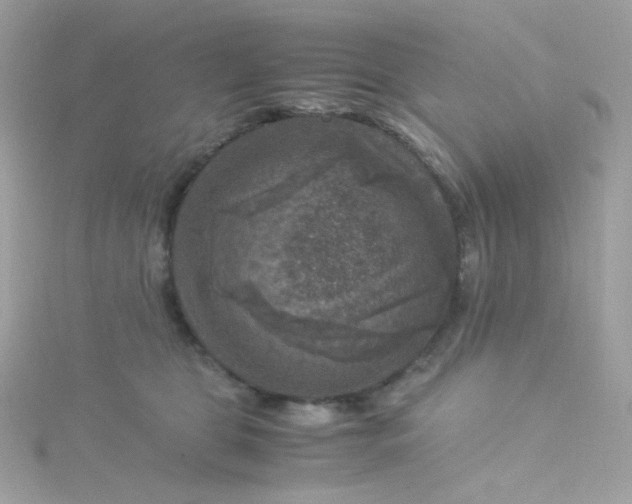 X0000115510469200911271434