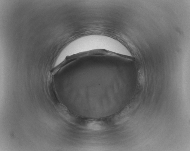 X0000115510471200911271434