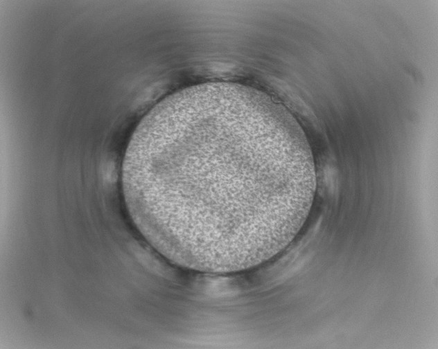 X0000115510472200911271434