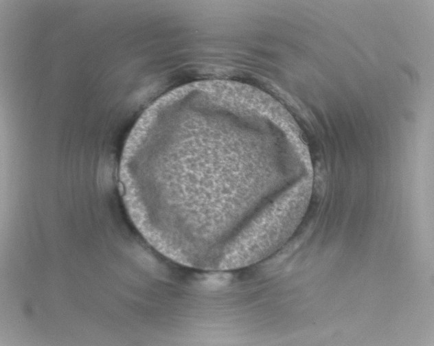 X0000115510474200911271434