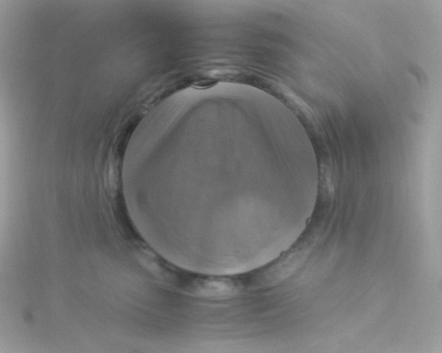 X0000115510475200911271434