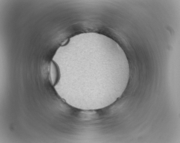 X0000115510480200911271434