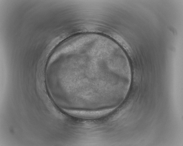 X0000115510481200911271434