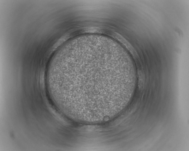 X0000115510482200911271434