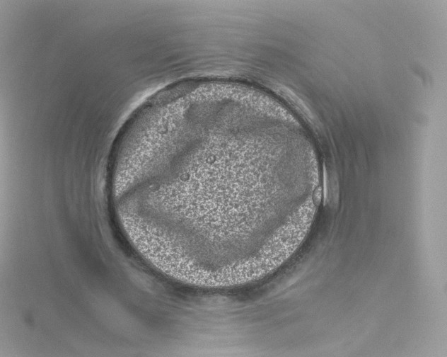 X0000115510483200911271434