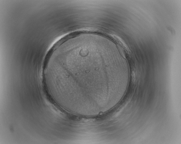 X0000115510484200911271434