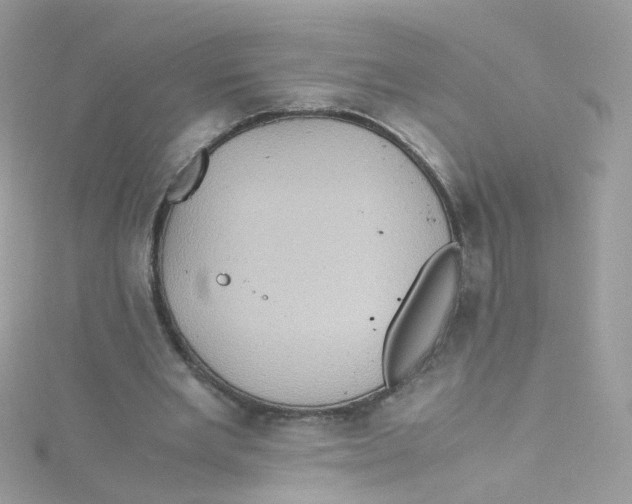 X0000115510485200911271434