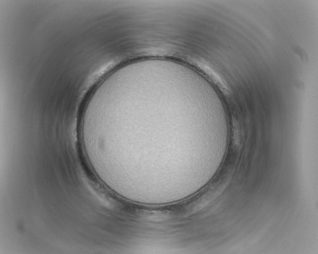 X0000115510486200911271434