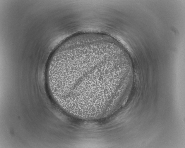 X0000115510487200911271434