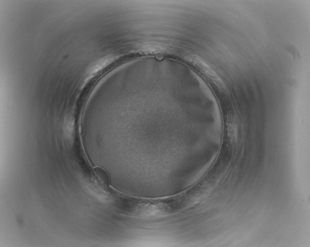 X0000115510488200911271434