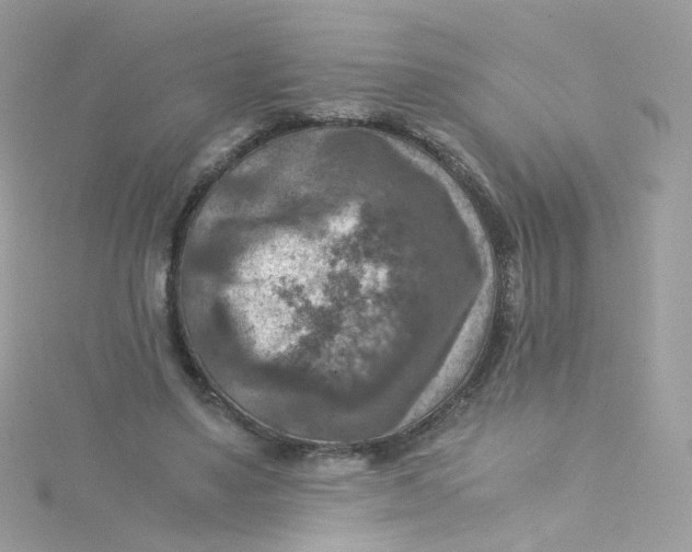 X0000115510491200911271434