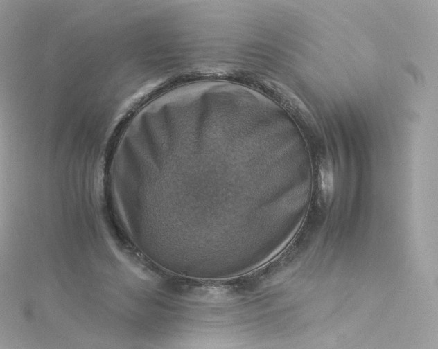 X0000115510492200911271434