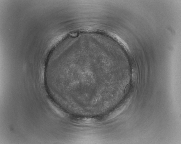 X0000115510493200911271434