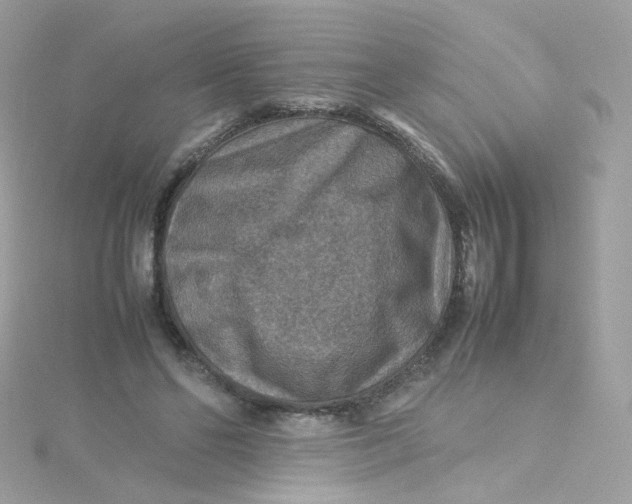 X0000115510494200911271434