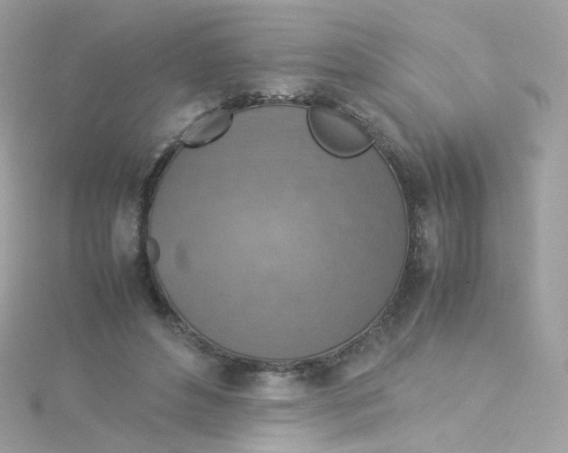 X0000115510496200911271434