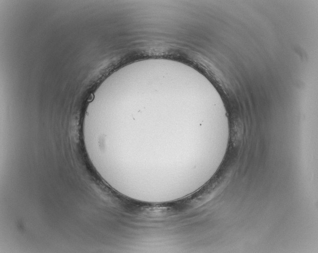 X0000115510497200911271434