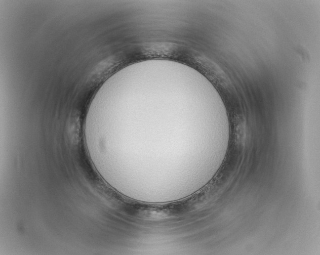 X0000115510498200911271434