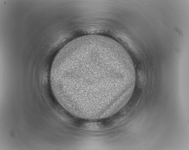 X0000115510499200911271434