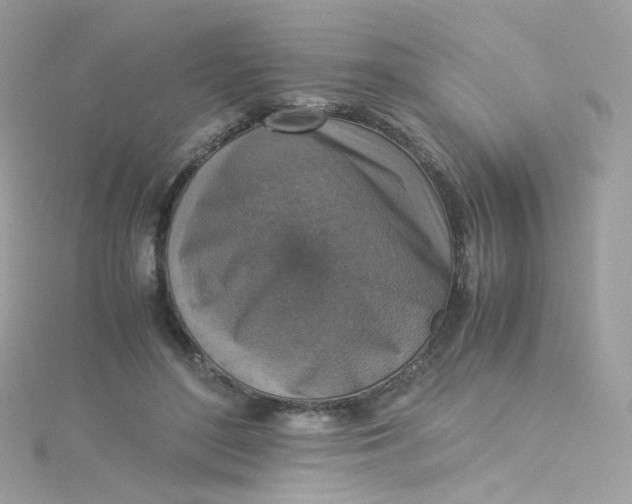 X0000115510500200911271434