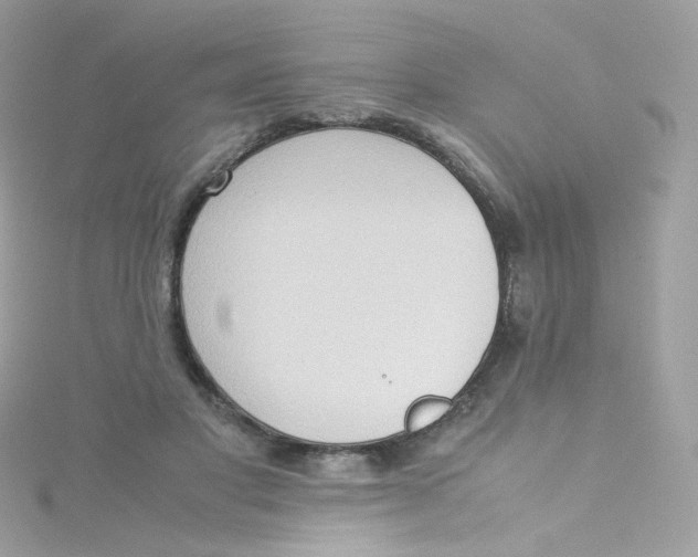 X0000115510501200911271433