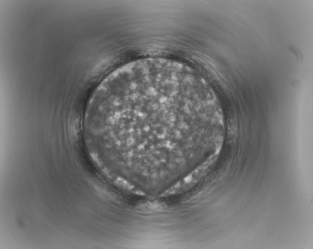 X0000115510503200911271433